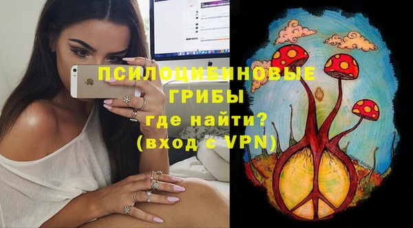 спиды Алексеевка