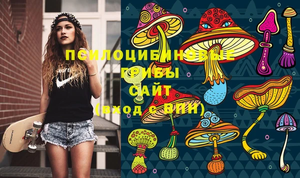 спиды Алексеевка